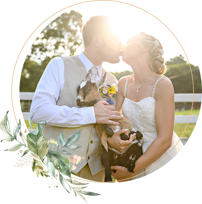Bride and Groom kissing while holding a goat
