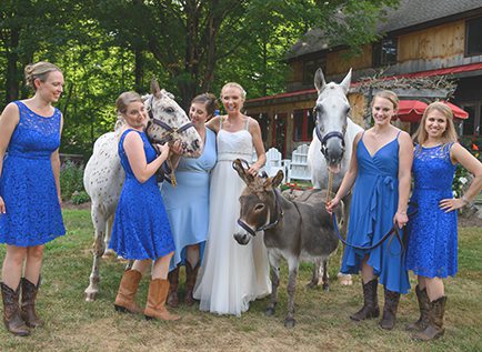 Bride and bridesmaids taking pictures with livestock